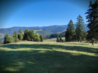 20260928_090934.jpg