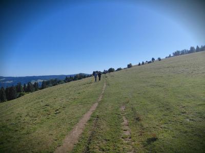 20260928_103747.jpg